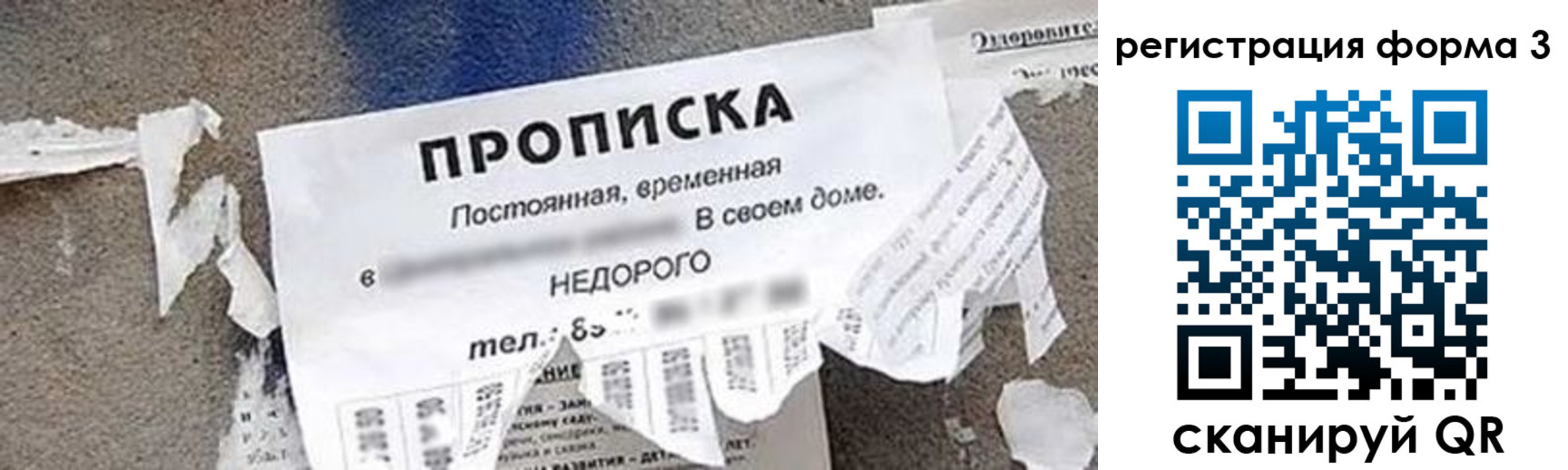 прописка 2025 в Пионерском